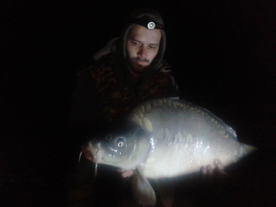 2015 - 11076065936390029727150561817367n.jpg